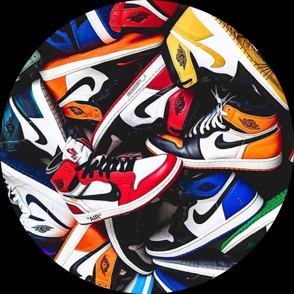 Meet your Posher, Sandy - Picture 1 of 1